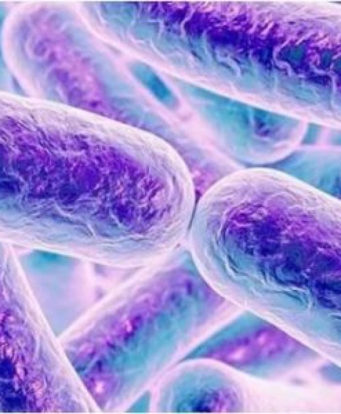LA MICROBIOTA